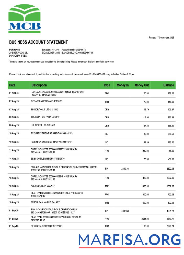 Blank Pakistan MCB business checking account statement Word and PDF template